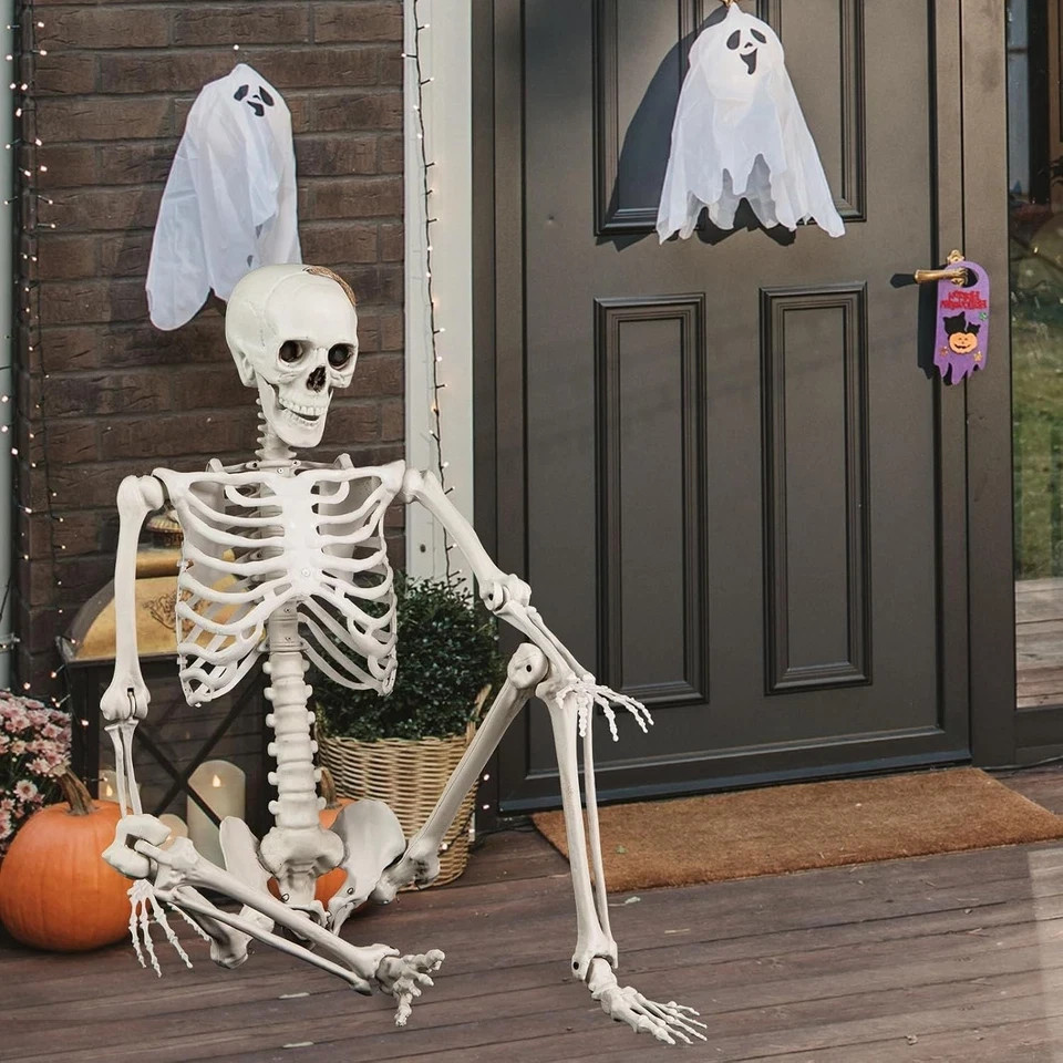 5.4ft Halloween Skeleton Full Body Life Size Posable Skeleton Movable Joints