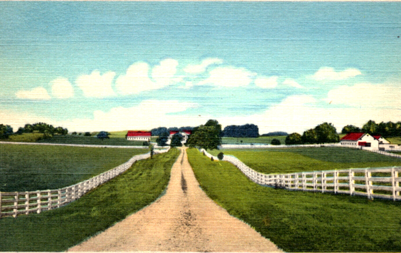 Glasgow KY Adairland Horse Farm Postcard
