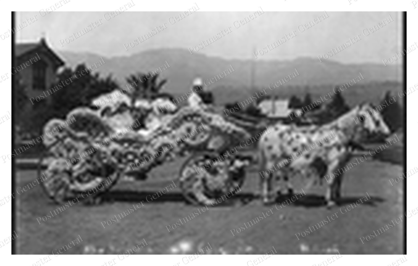 Golden Chariot Standard Postcard COPY RPPC Golden Chariot Standard Postcard COPY RPPC