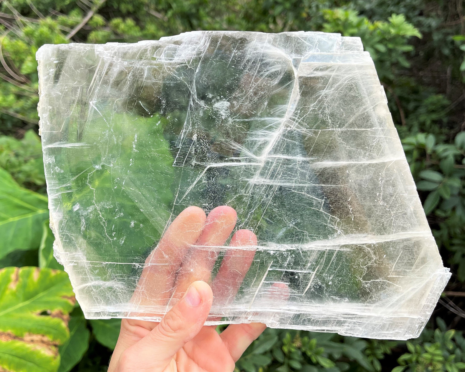 JUMBO Natural Selenite Slabs & Stand Raw Selenite Slice, Selenite Crystal Plate JUMBO Natural Selenite Slabs & Stand Raw Selenite Slice, Selenite Crystal Plate