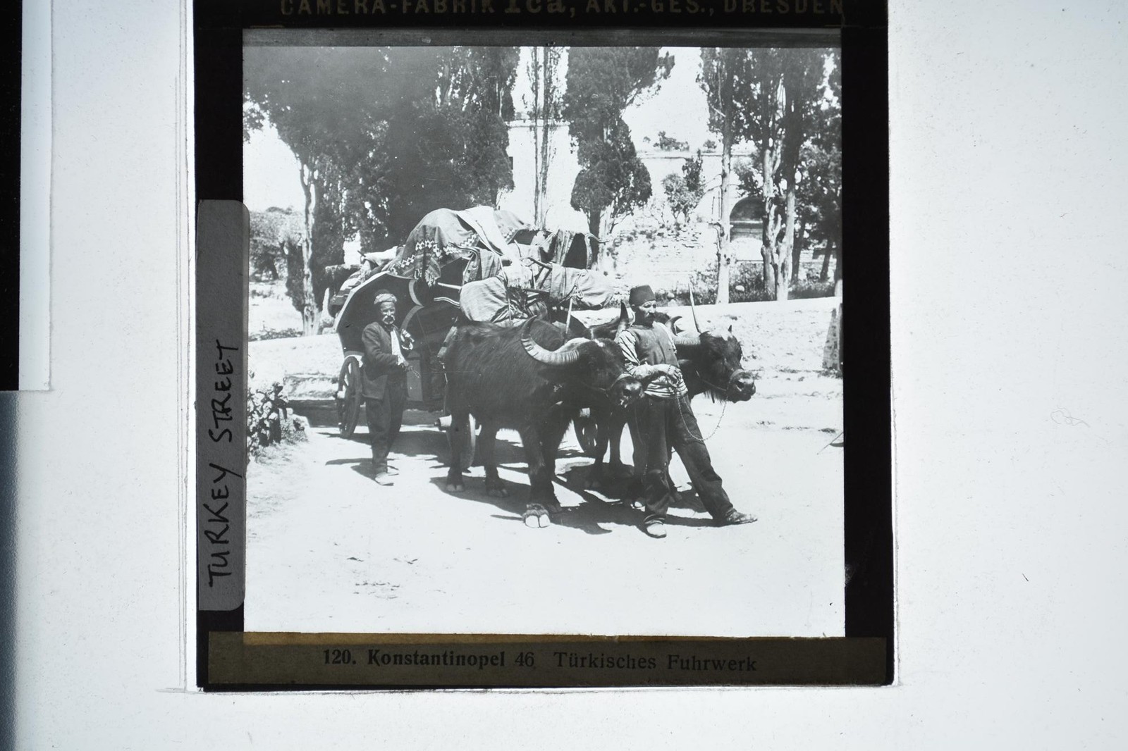 Buffalo Cart Constantinople Turkey Ica Dresden Magic Lantern Slide c1900s