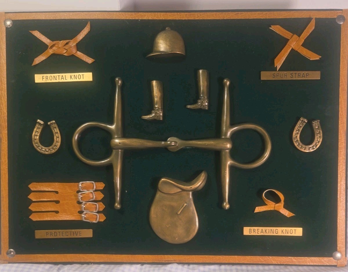 Dezine Equestrian Horse Tack Shadow Box Bits Knots Horseshoe Wall Decor 16\