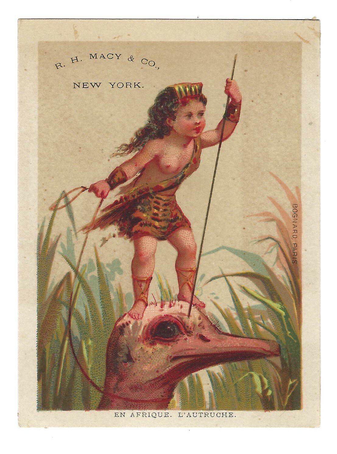R.H. Macy Trade Card En Afrique L\'Autruche Bare Breasted Warrior Girl on Ostrich