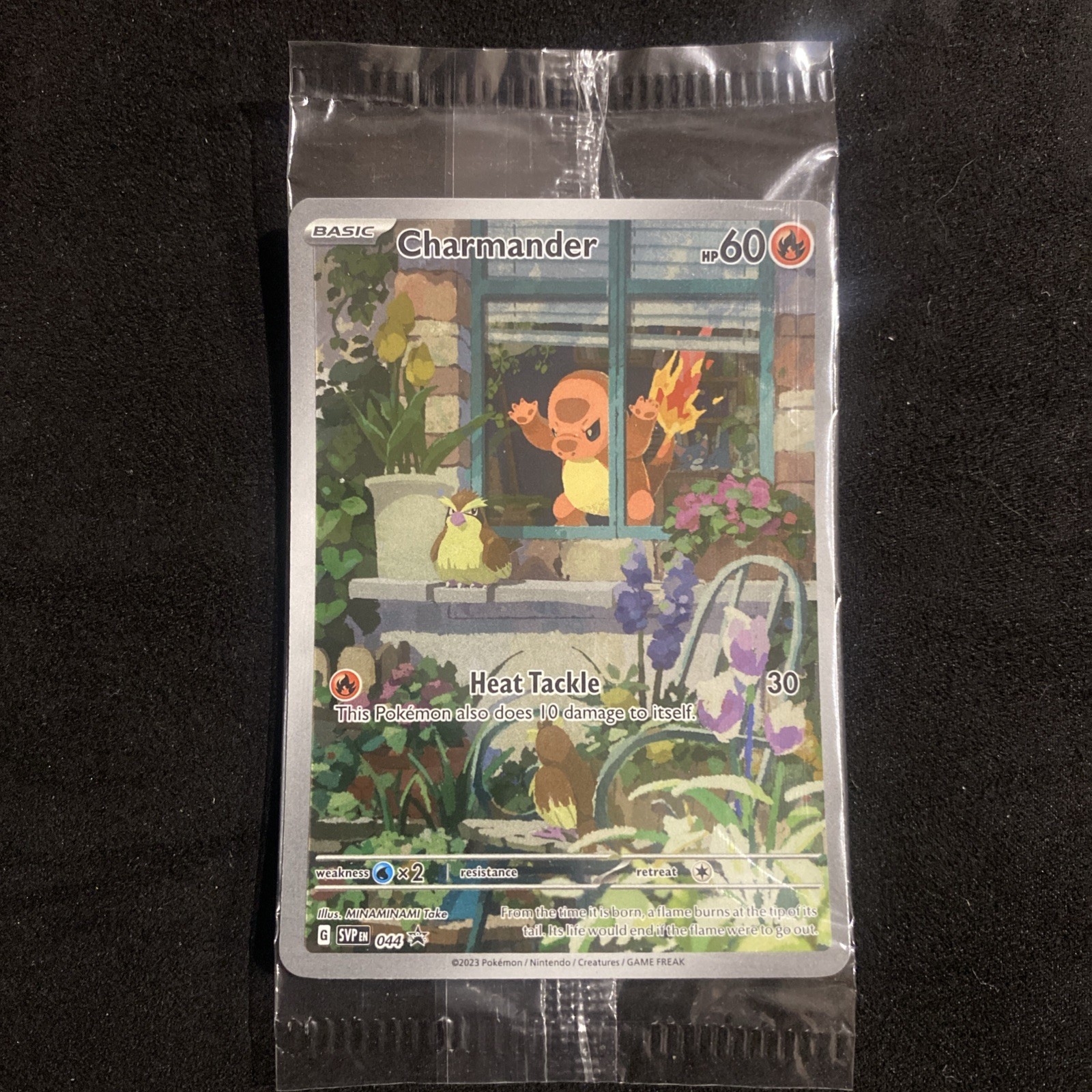 The Pokémon Company Charmander 044 SV Promo Holo English 2023 60 HP Sealed