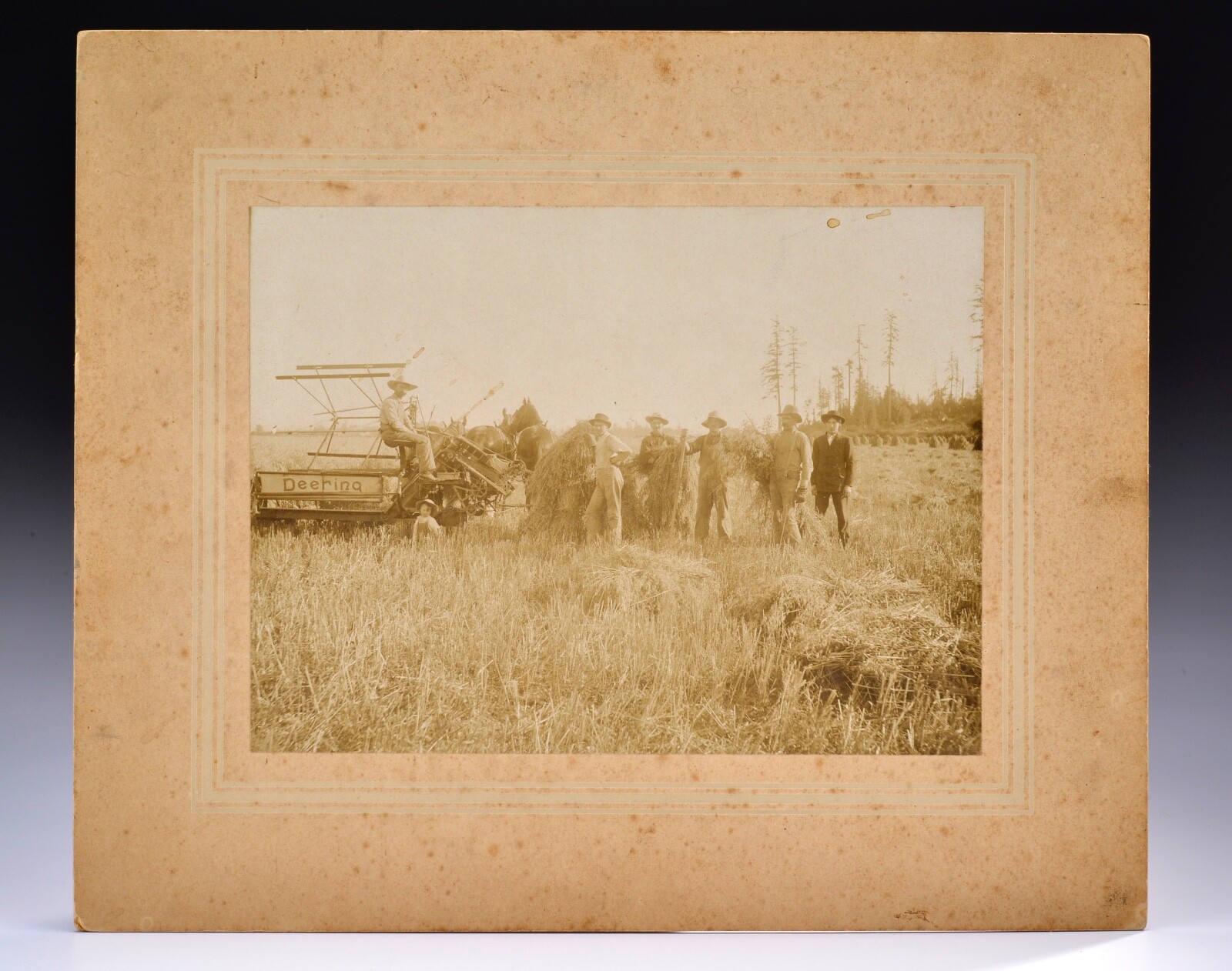 Deering Tractor Photo c1900 Grain Reaper Farmer 11.75 Deering Tractor Photo c1900 Grain Reaper Farmer 11.75
