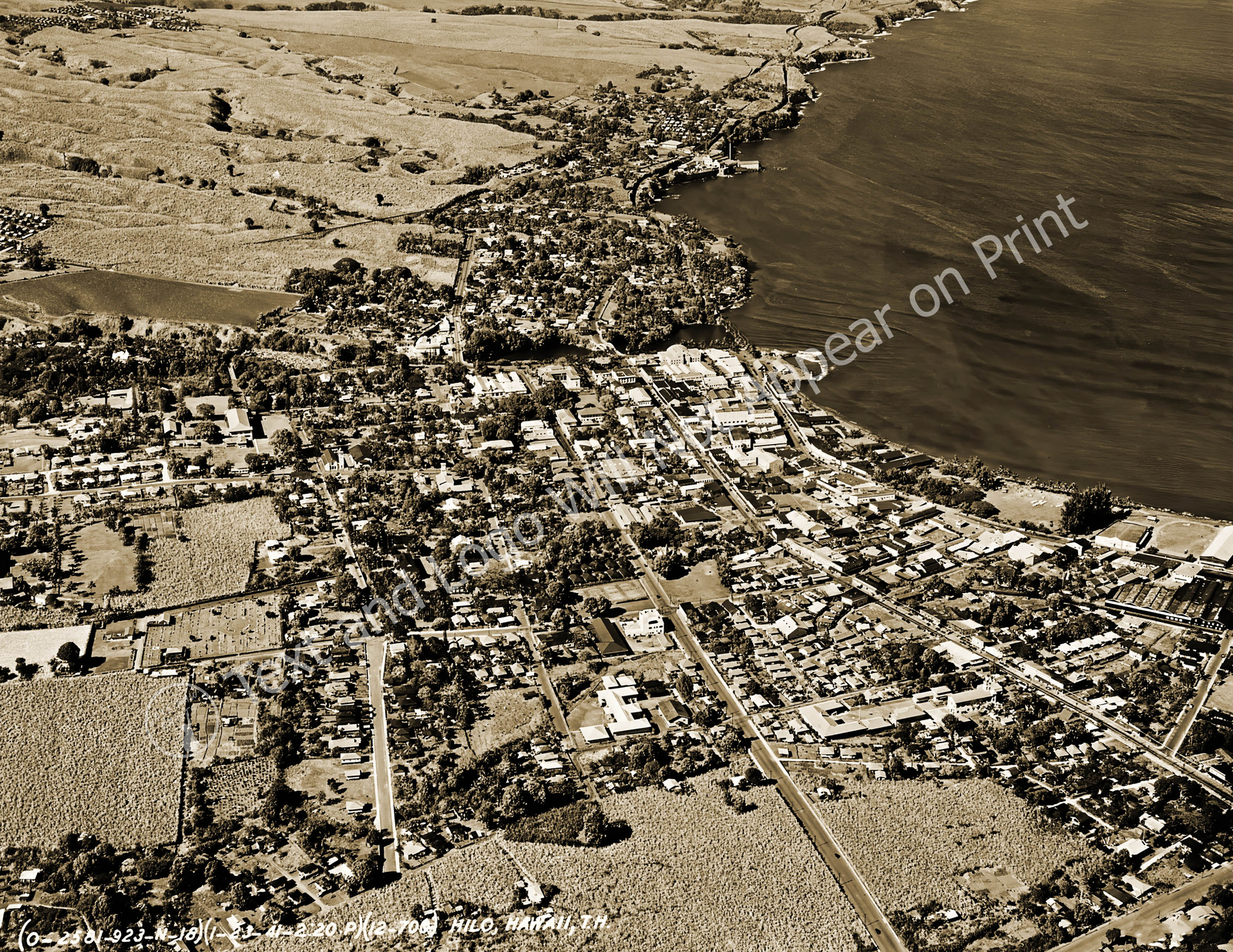 1941 Aerial View of Hilo, Hawaii Vintage Old Photo Reprint 1941 Aerial View of Hilo, Hawaii Vintage Old Photo Reprint