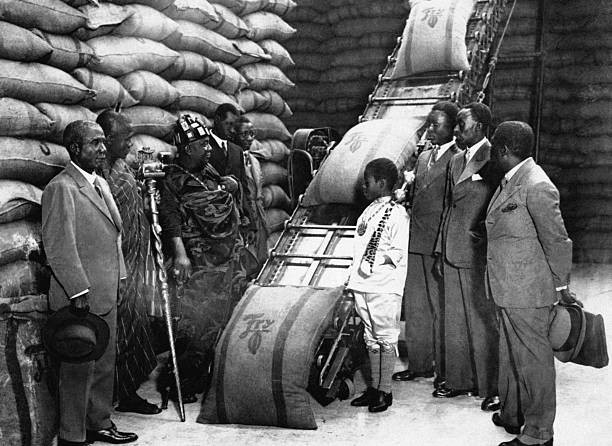 The King C�te d Ivoire Sir Nana Ofori Atta observes bags cocoa nut- Old Photo