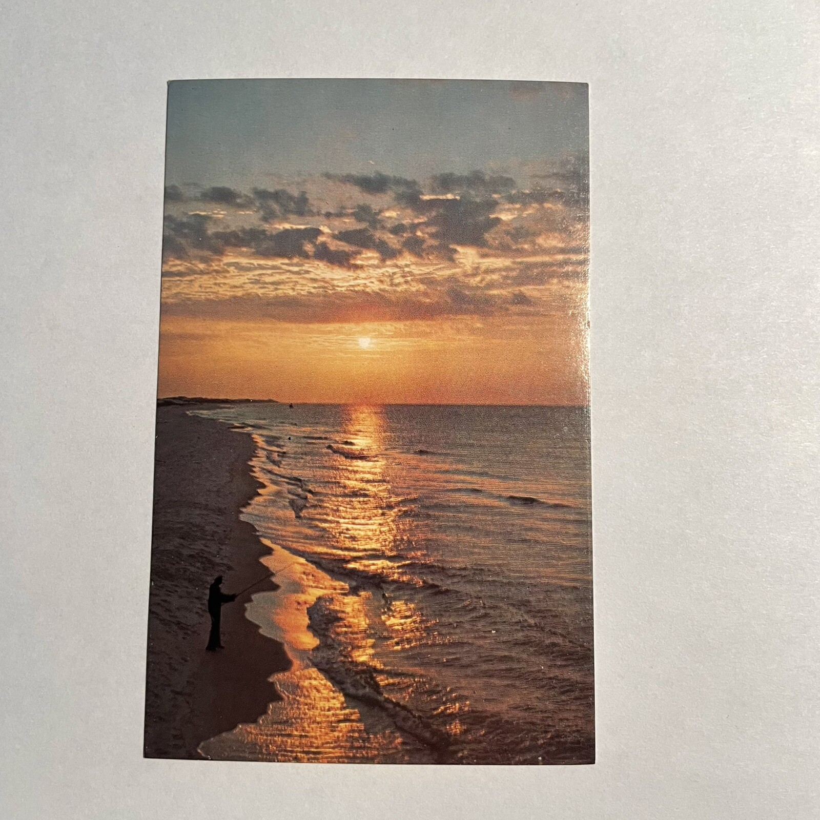 Florida Sunset Ocean Scenic Beach Vintage Postcard