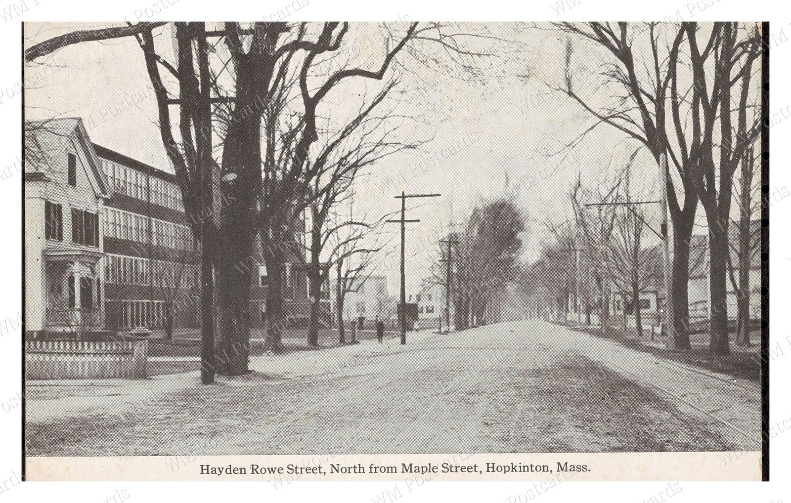 Hopkinton Massachusetts 1900 Hayden Rowe Street Elm Trees Standard Postcard Hopkinton Massachusetts 1900 Hayden Rowe Street Elm Trees Standard Postcard