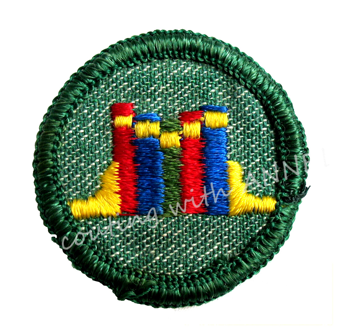 NEW, READER-BOOKS 1955 Intermediate Girl Scout ME Badge Patch Library  