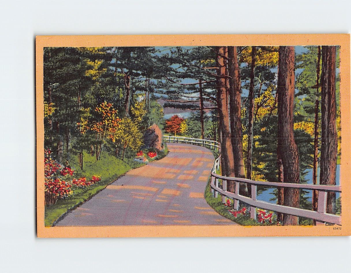 Postcard Scenic Countryside Road