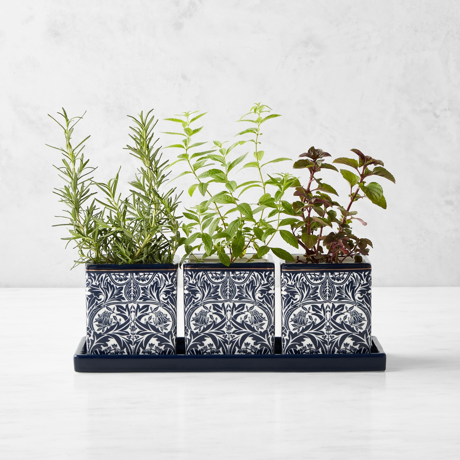 Morris & Co. x Williams Sonoma Bluebell Herb Planter Set - NEW in Box Morris & Co. x Williams Sonoma Bluebell Herb Planter Set - NEW in Box
