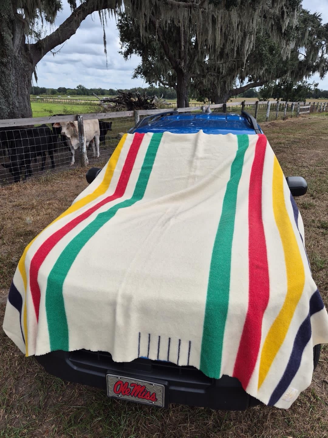 VTG Hudson's Bay Company HBC SIGNATURE MULTI STRIPE Wool Blanket 6 point (QUEEN)