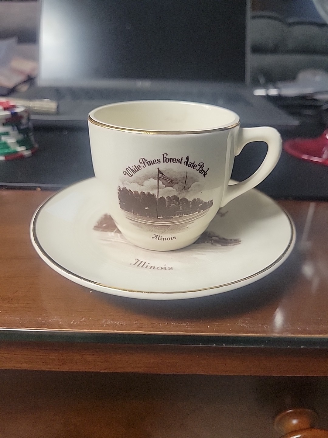 White Pines Forest State Park Illinois Vintage Cup And Saucer Souvenir White Pines Forest State Park Illinois Vintage Cup And Saucer Souvenir