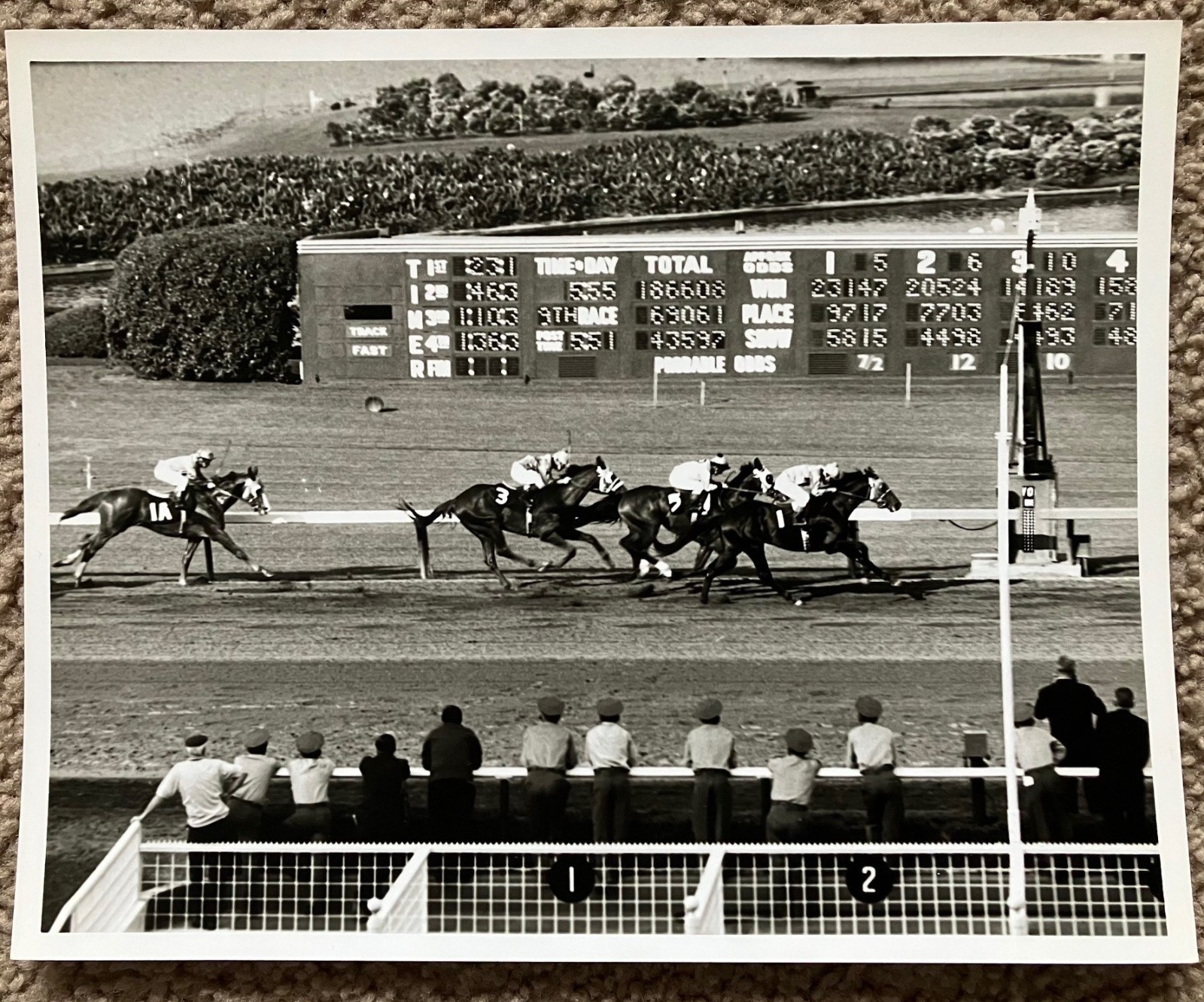 Vtg 1960's Original B&W Photo Hollywood Park Horse Race Track Inglewood CA 8x10 Vtg 1960's Original B&W Photo Hollywood Park Horse Race Track Inglewood CA 8x10