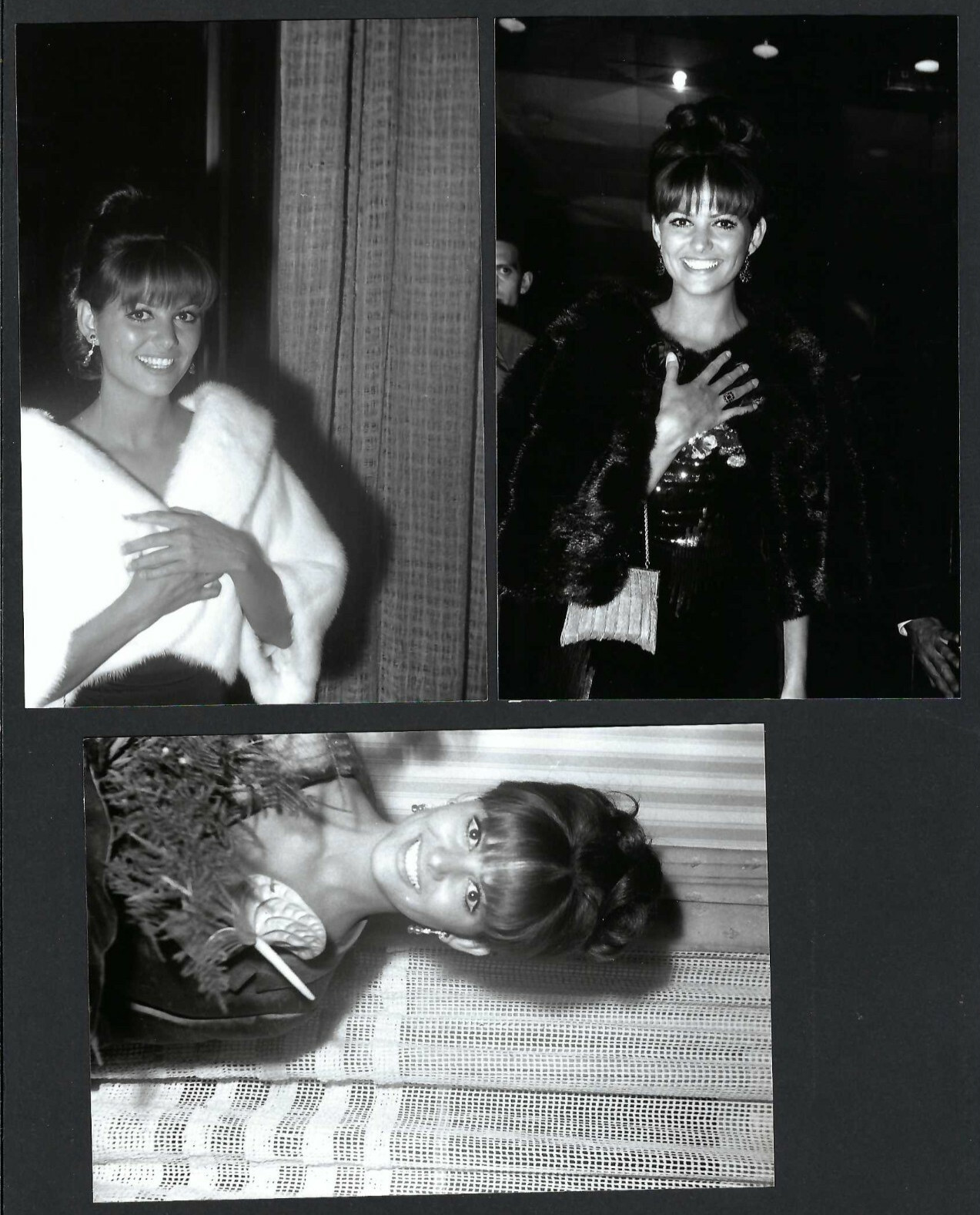 CLAUDIA CARDINALE VINTAGE ORIGINAL PHOTO HOLLYWOOD ACTRESS STUNNING LOT OF 3 CLAUDIA CARDINALE VINTAGE ORIGINAL PHOTO HOLLYWOOD ACTRESS STUNNING LOT OF 3