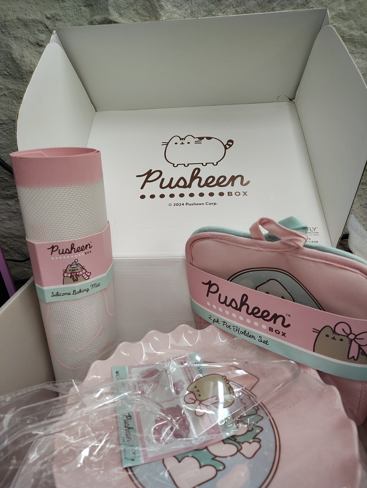 Pusheen Winter Box 2024 Incomplete Staying Cozy Pusheen Winter Box 2024 Incomplete Staying Cozy