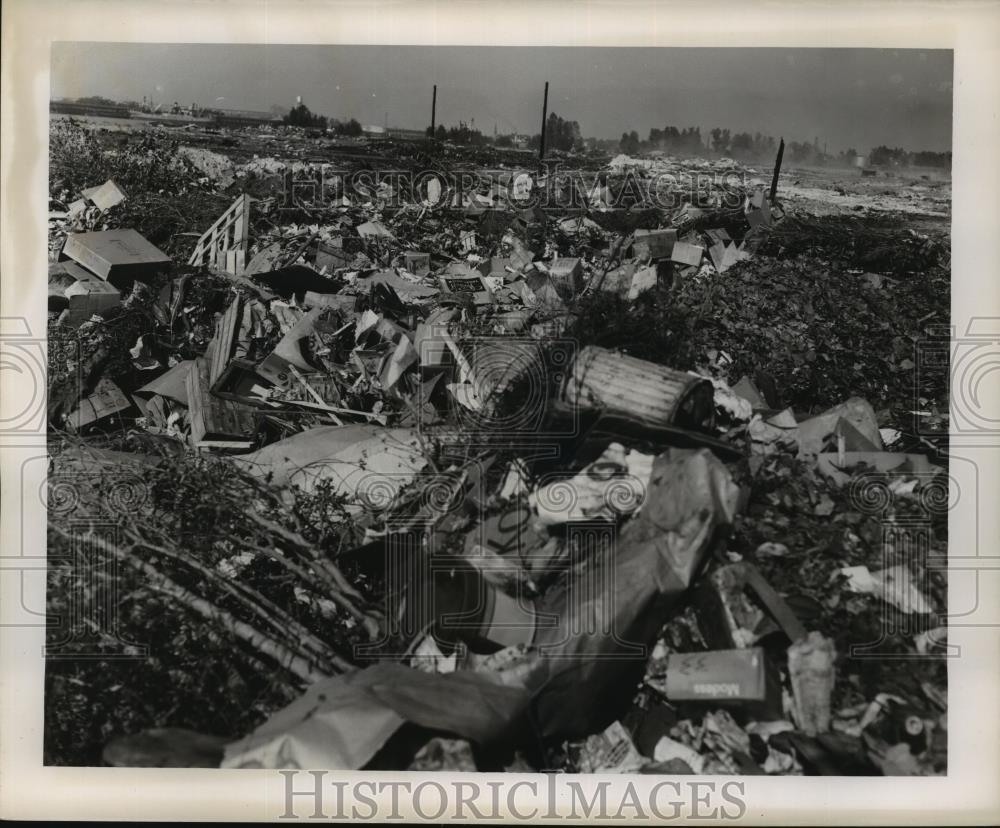 1950 Press Photo Audubon Park Batture Dump - noa23050