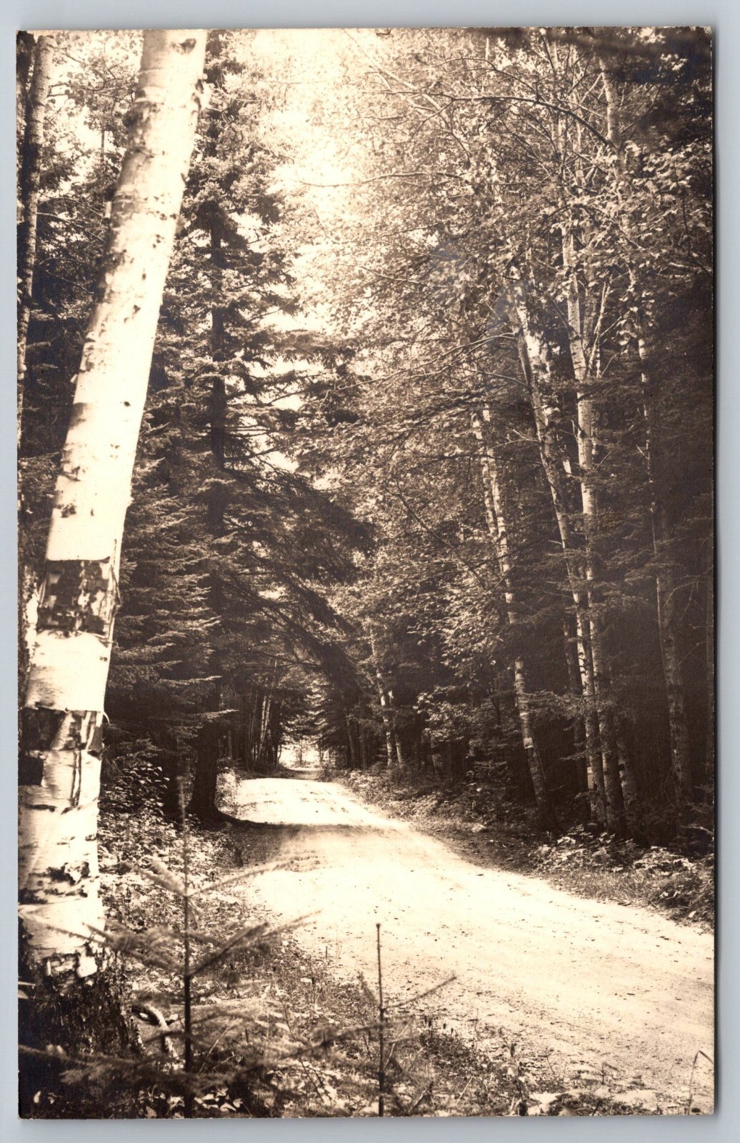 Road to Henderson's Camps. Big Wood Lake Back of Cottages Jackman Maine Postcard Road to Henderson's Camps. Big Wood Lake Back of Cottages Jackman Maine Postcard