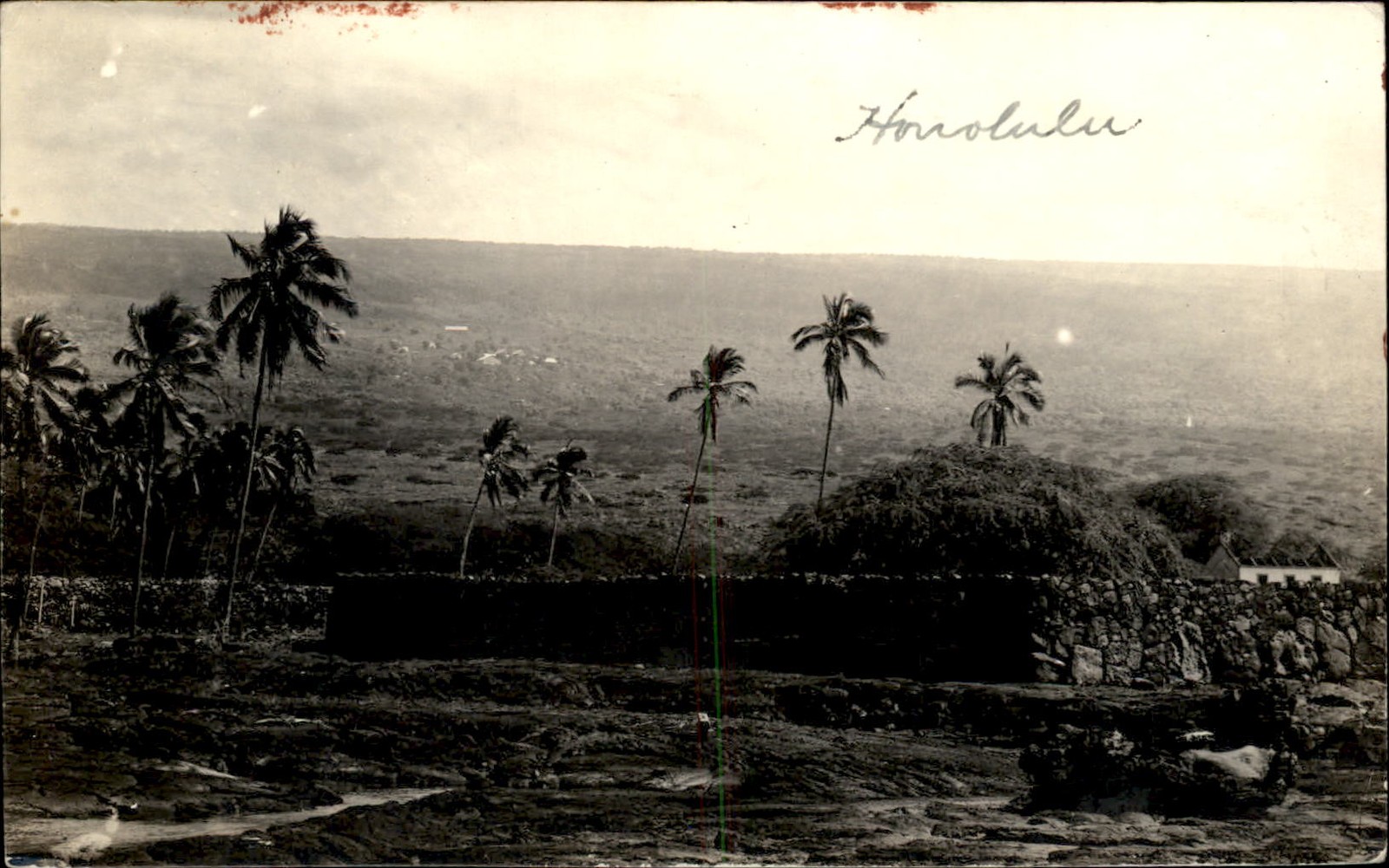 Honolulu Hawaii HI Coastal View Post Card c1900s-10s Real Photo Vintage Postcard