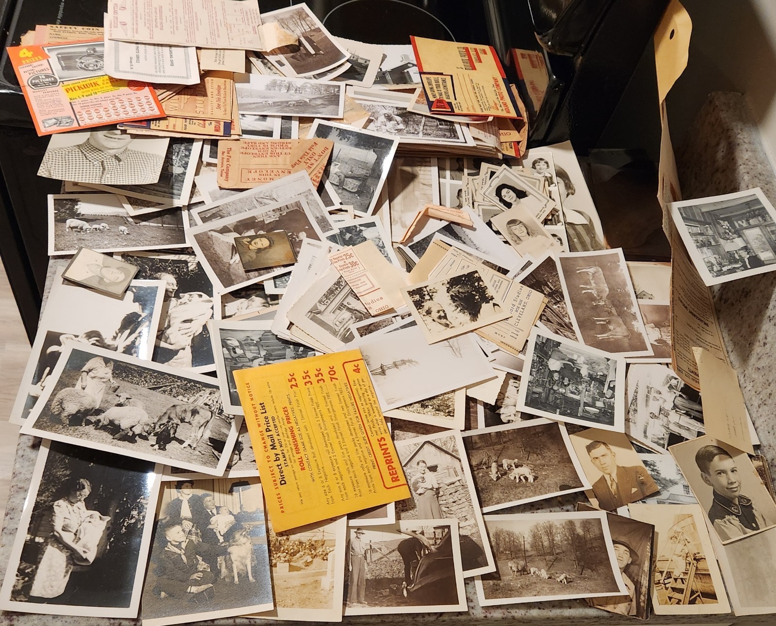 150+ Vtg BW Snapshots And Negatives School Envelopes Coupons Virginia Farm Cows 150+ Vtg BW Snapshots And Negatives School Envelopes Coupons Virginia Farm Cows