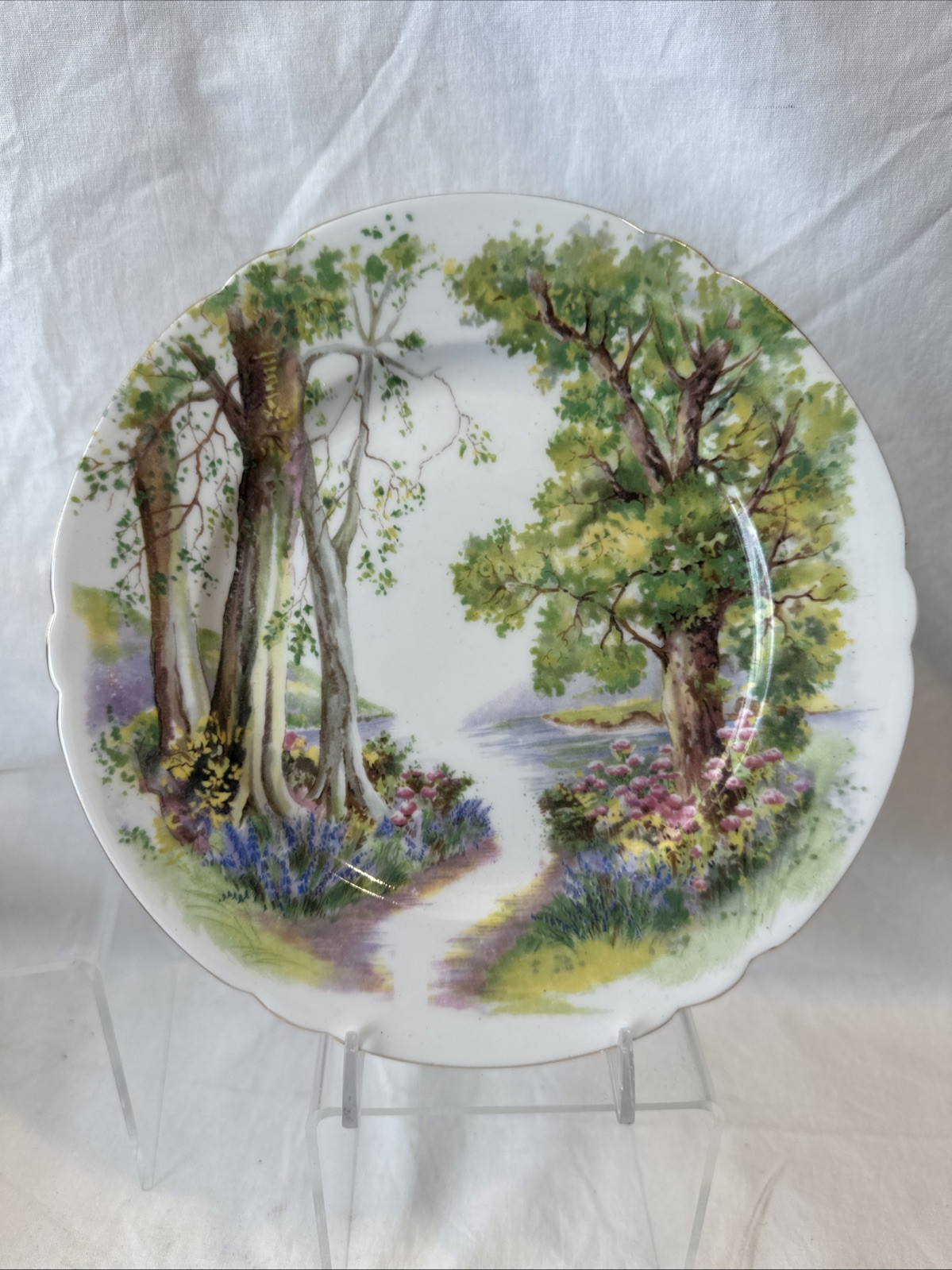 Vintage Shelley Bone China Dessert Plate Woodland Collection England 1950s 8.25”