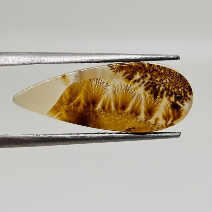 Shazar Dendrite Agate Cabochon 21x8 mm Natural Scenic Gemstone
