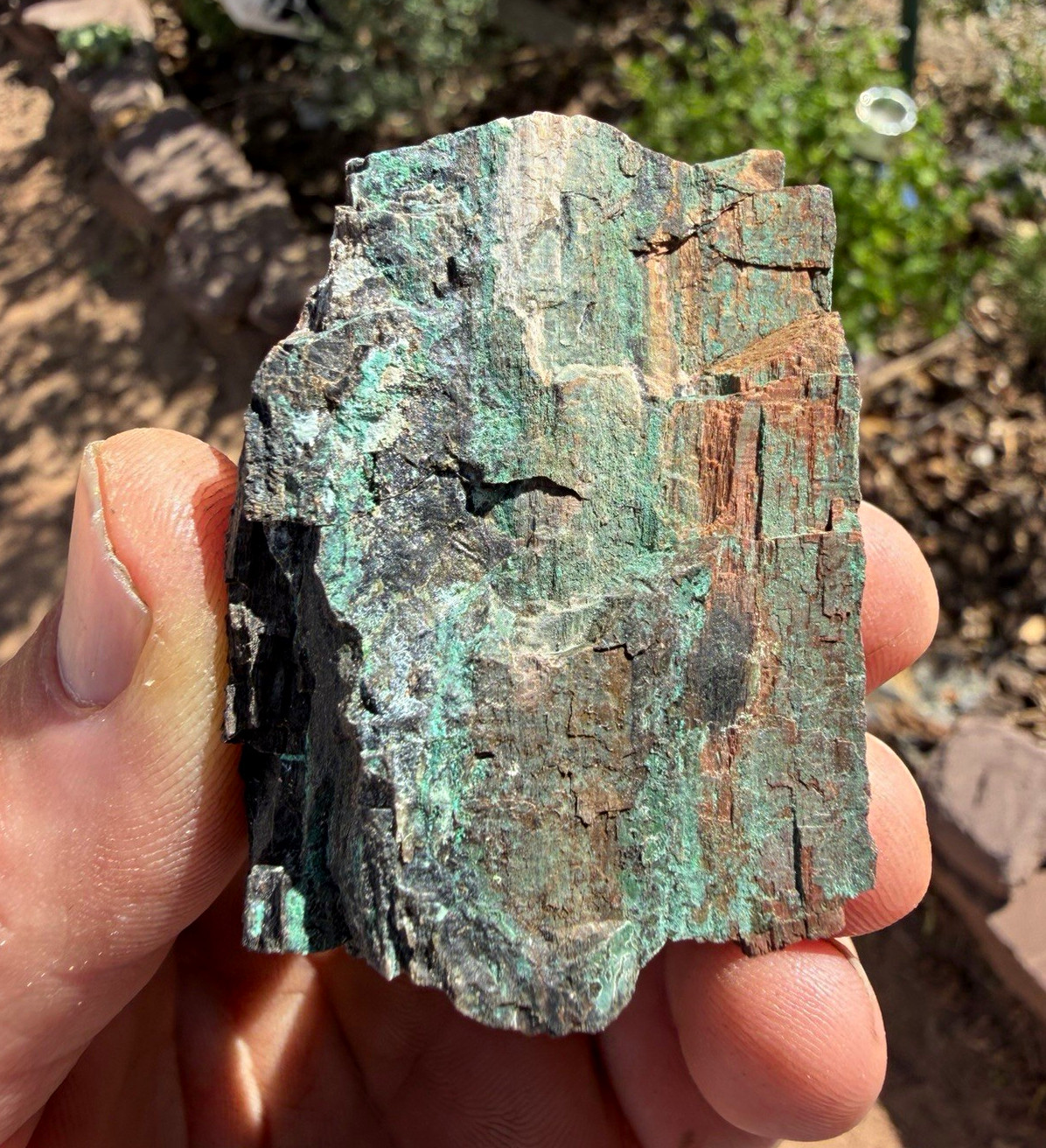 Copper mineralized petrified wood from southern Utah 3oz Copper mineralized petrified wood from southern Utah 3oz