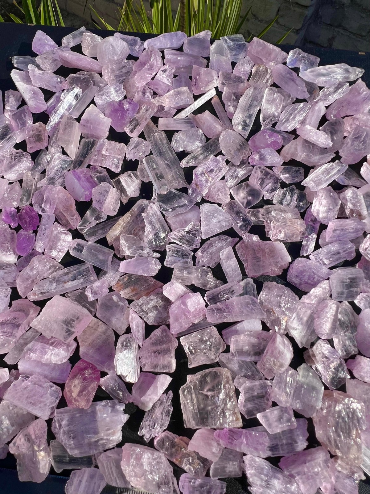500 Grams Kunzite Pink/Purple Crystals With Nice Colour & Growth From Kunar Afg.