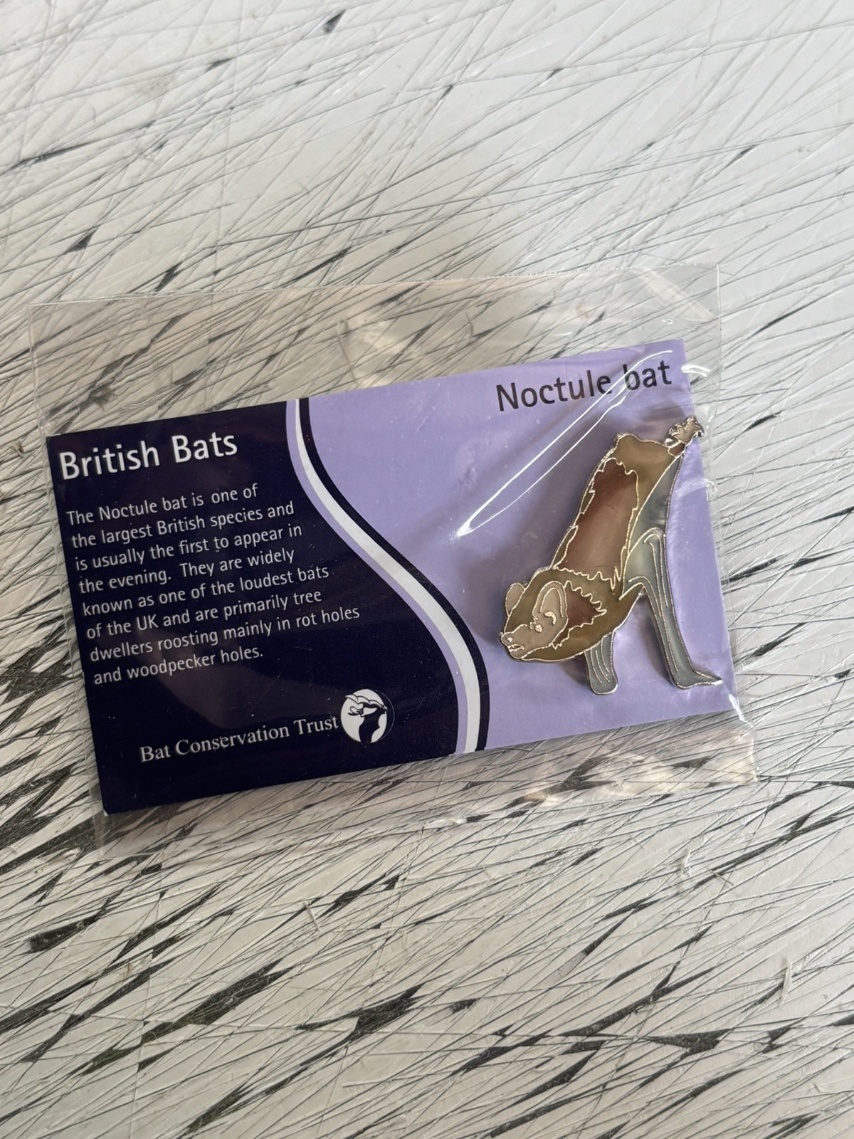 RSPB Interest NOCTULE BAT Conservation BIRD Enamel pin badge still sealed design