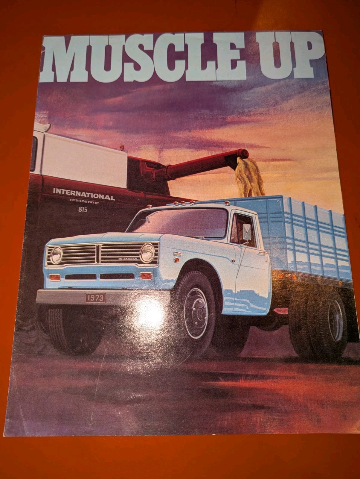 1974 INTERNATIONAL 1310 & 1510 Truck 