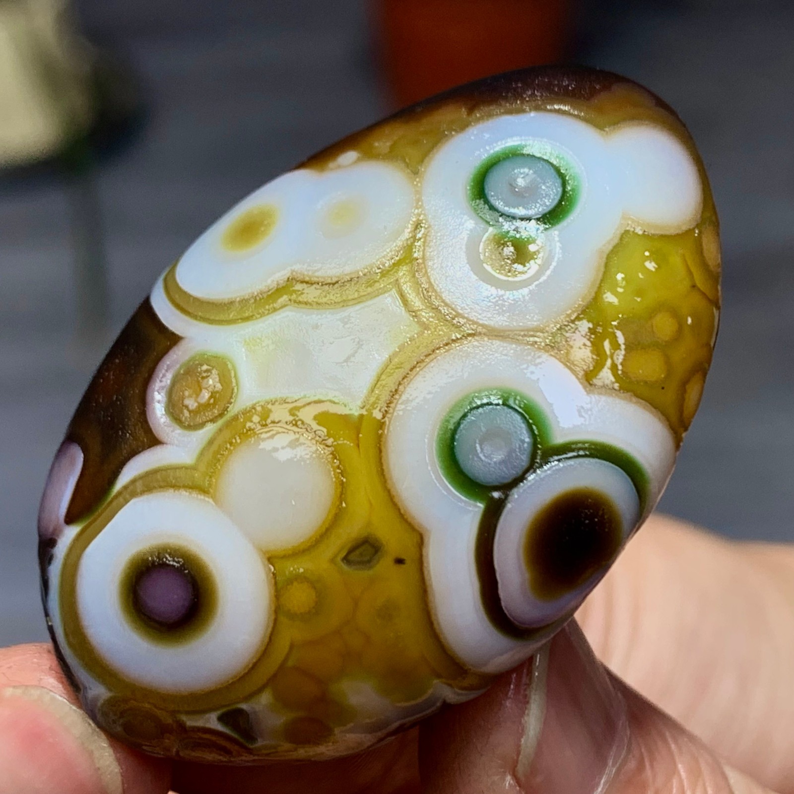 35G Rare Natural Gobi Agate eye Raw Stone/Crystal Palm Stone Madagascar