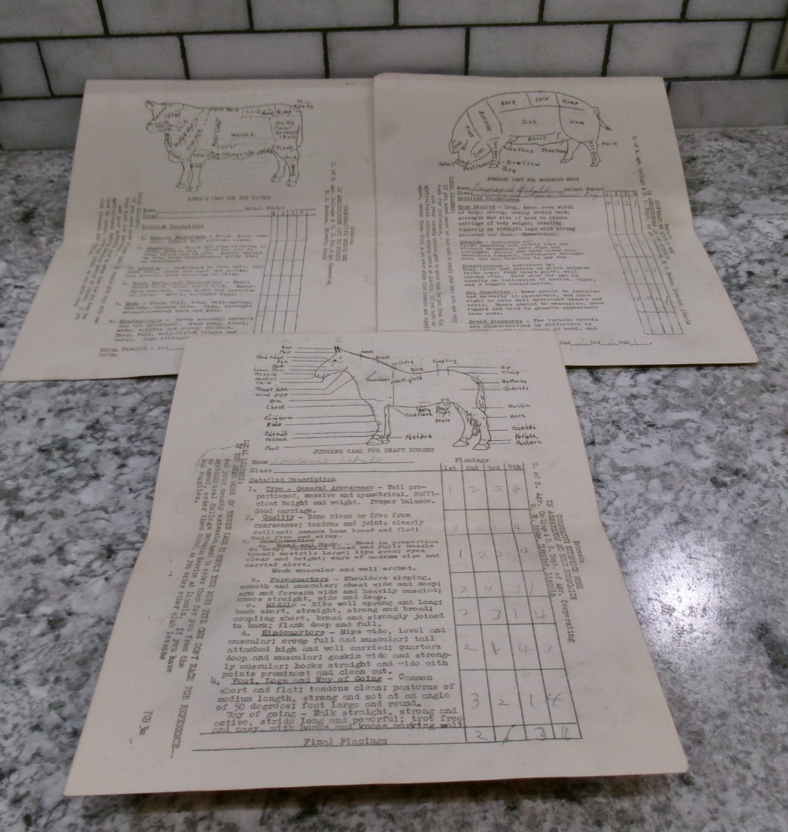 Vintage Educational Used 4-H Worksheets, Livestock 1930\'s, Set Of 3