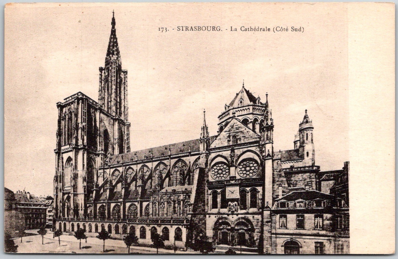 Strasbourg France Cathedral C.1910s Sepia Unposted Postcard