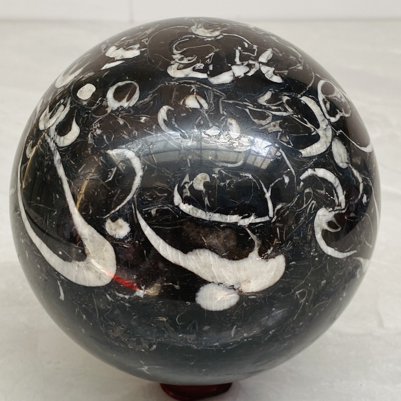 Natural Shell Jasper Thousand Eye Stone Crystal Polished Ball Healing (7.84LB)