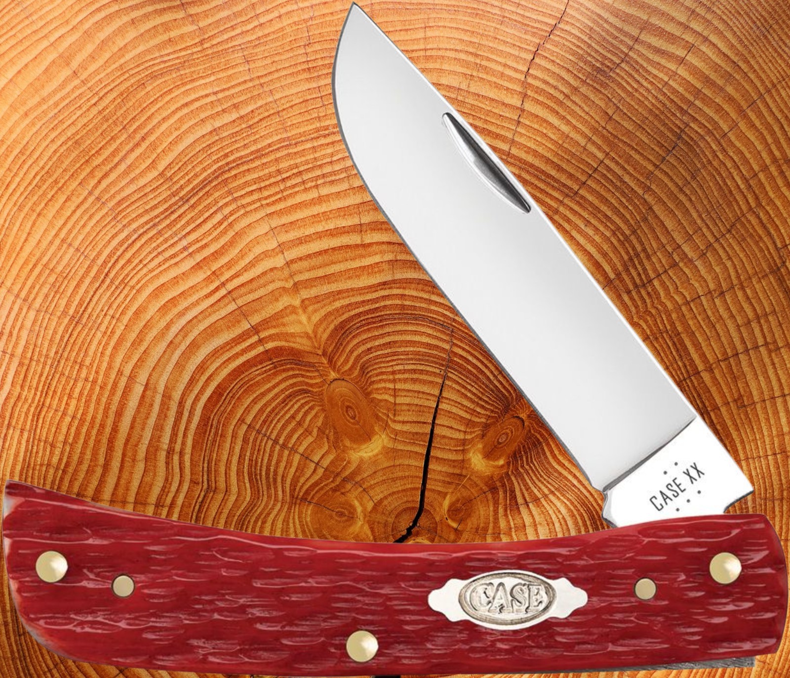 CASE XX 31945 SODBUSTER JR. POCKET KNIFE CARBON STEEL JIGGED RED BONE 6137 CS