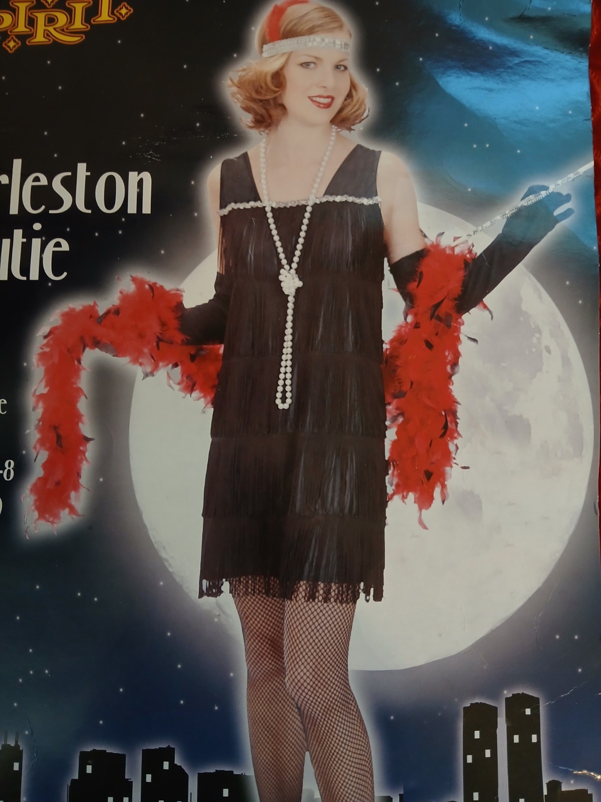 DELUXE 20s FLAPPER DRESS GIRL HALLOWEEN COSTUME OUTFIT - ADULT M - NEW GANGSTERS DELUXE 20s FLAPPER DRESS GIRL HALLOWEEN COSTUME OUTFIT - ADULT M - NEW GANGSTERS