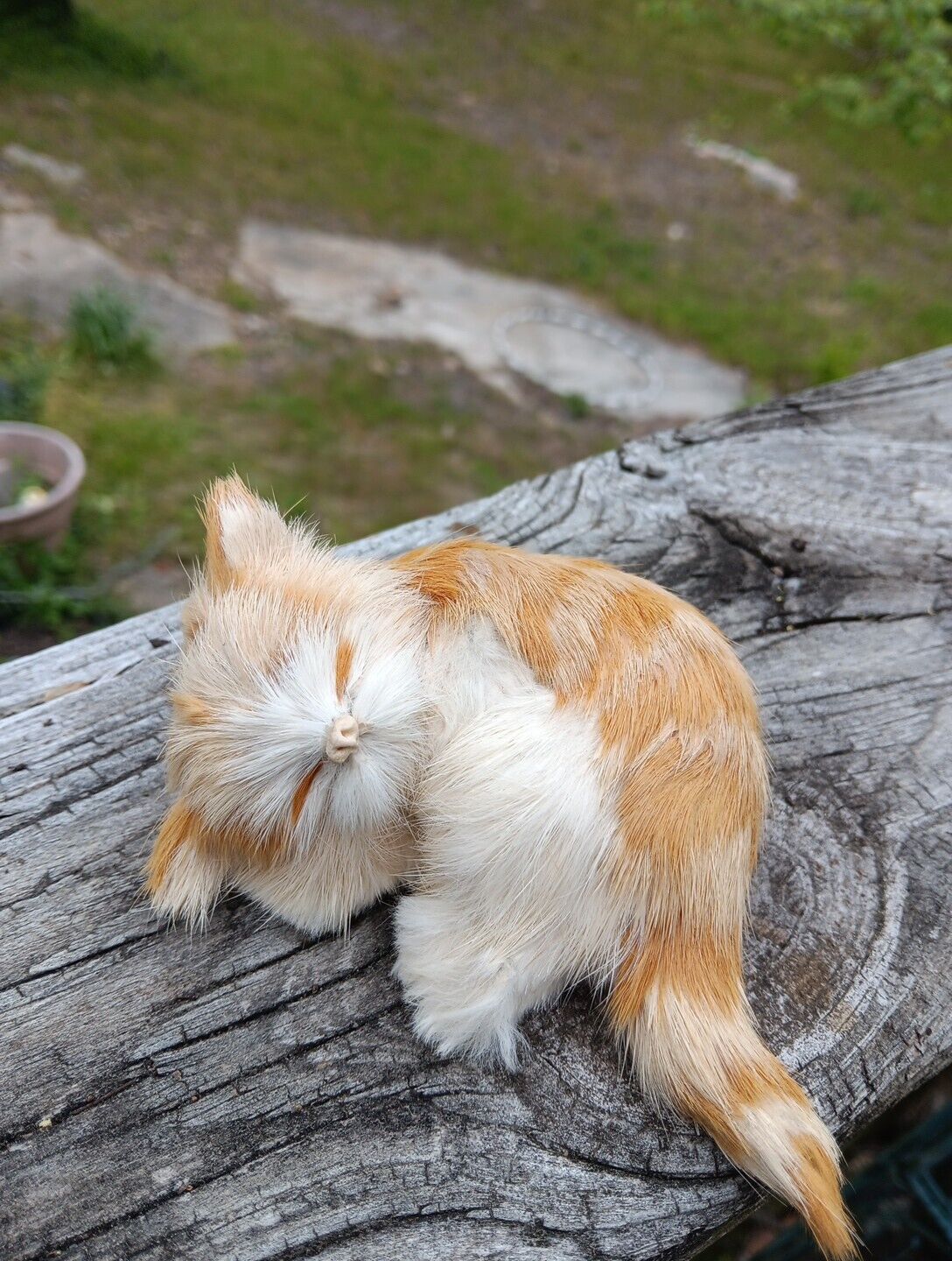 Realistic Miniature Tabby Cat Real  Fur Kitten Decor Kitch 
