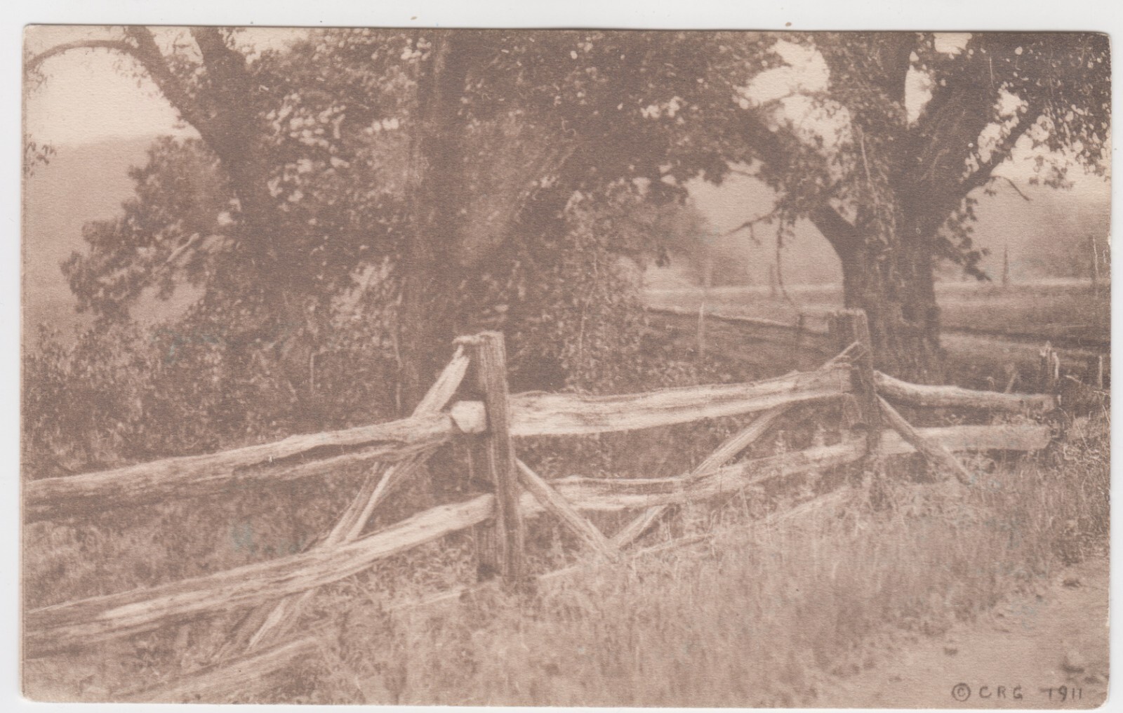 1911 Wooden Fence Country Side. Antique. The Flower of Pink Perfection. CRG RPPC