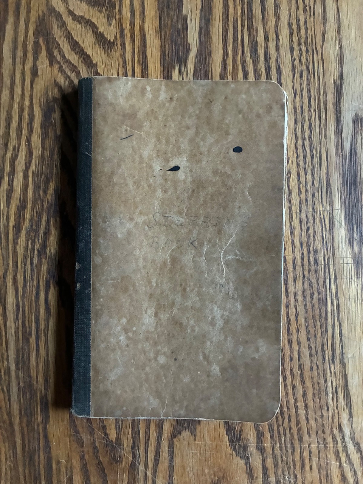 Antique 1914-1918 Handwritten Diary Central NY Farm Life Named Entries