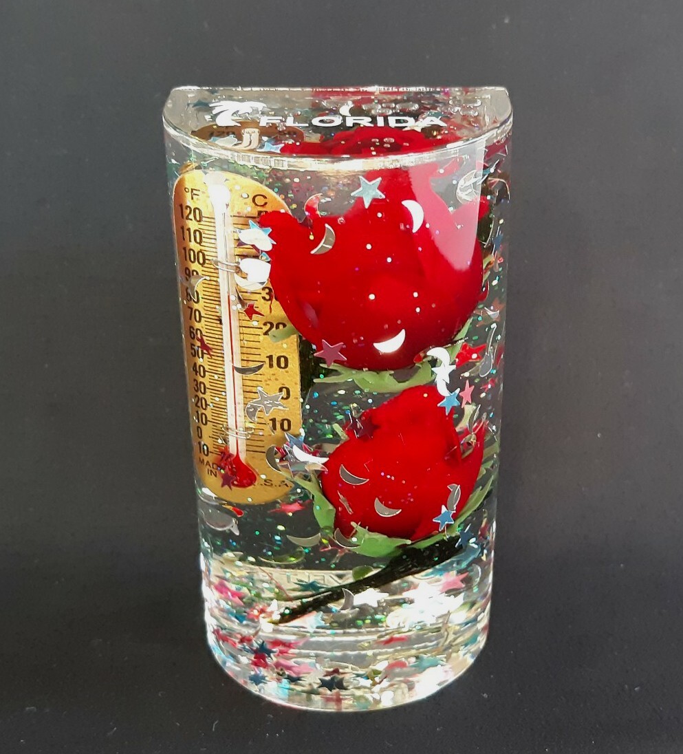Vintage Souvenir Florida Paperweight Thermometer Roses Glitter Noveltex 1996