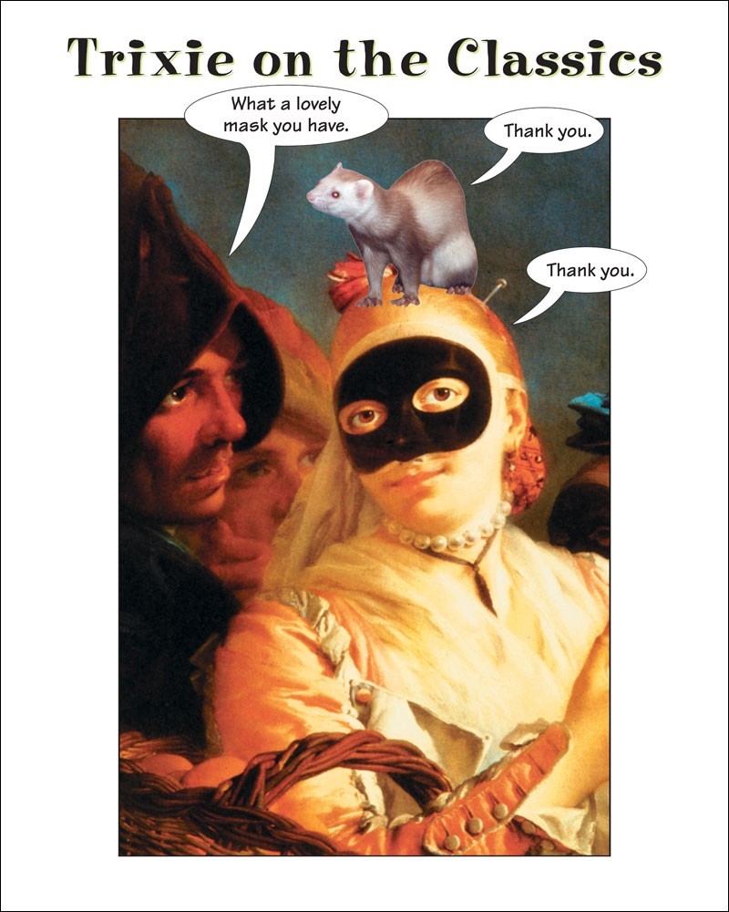 What a lovely mask you have - great Modern Ferret gift - 8x10 PHOTO Print