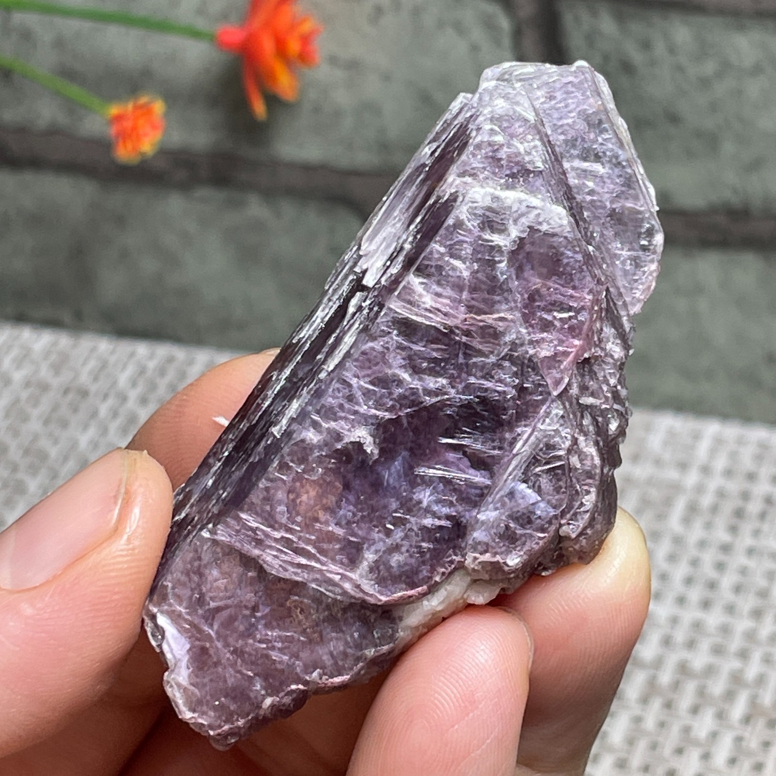 Lepidolite Lavender Purple Mica Lithium Specimen 32g c82 Lepidolite Lavender Purple Mica Lithium Specimen 32g c82