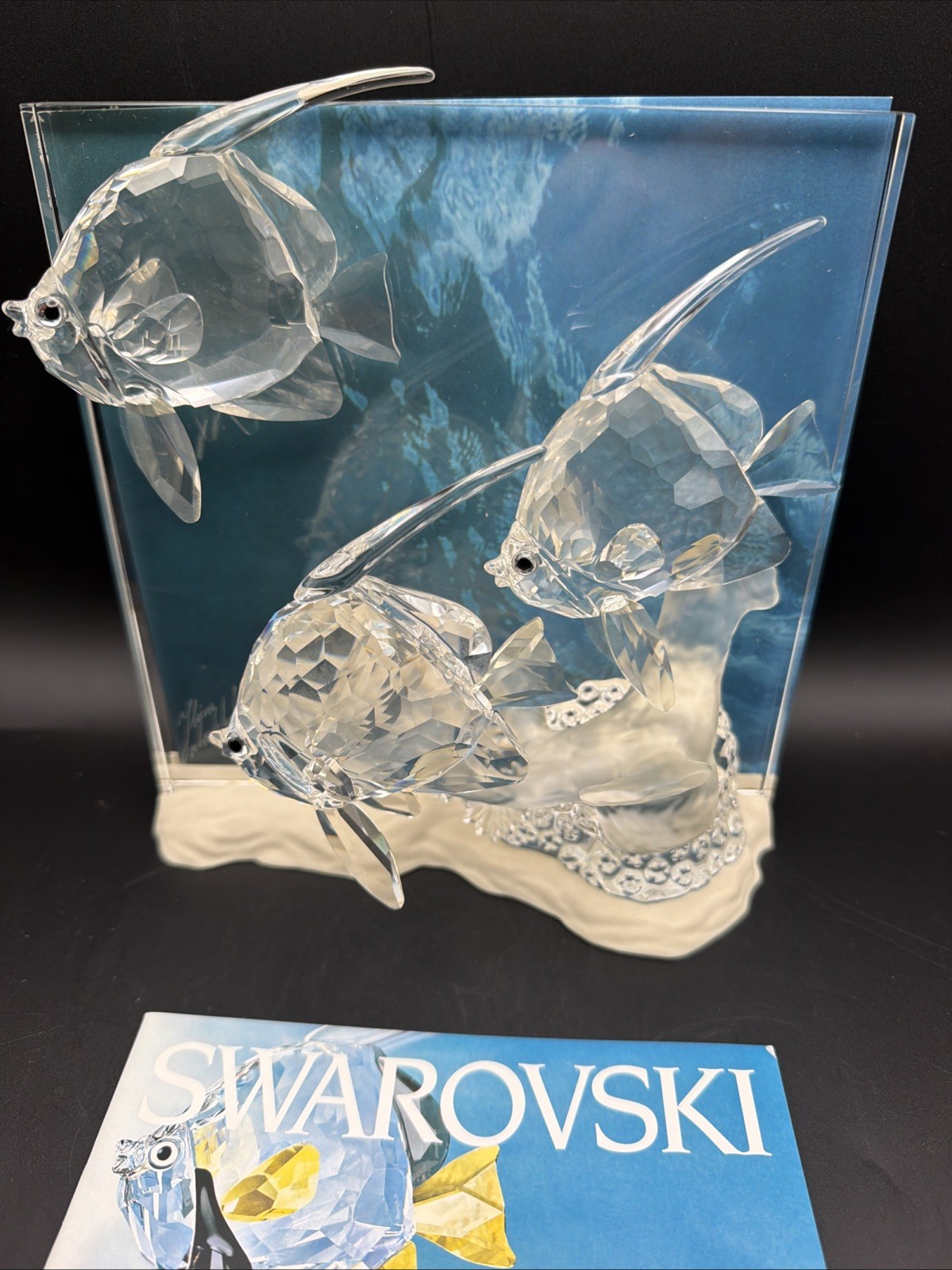 Swarovski Crystal  Wonders of the Sea COMMUNITY IN ORIGINAL BOX  Signed