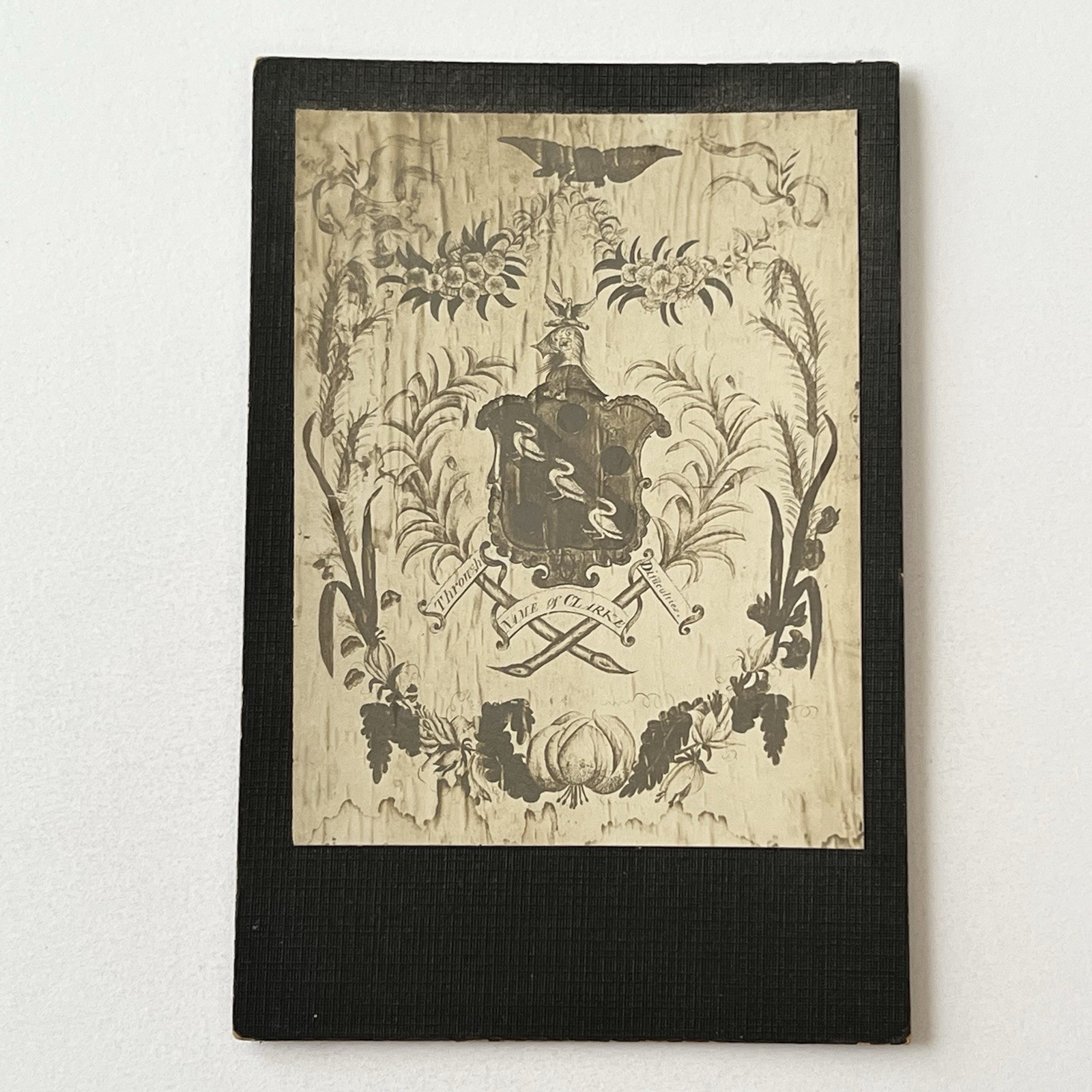 Antique Photograph On Board Beautiful Coat Of Arms Folk Art ID Clarke Family Antique Photograph On Board Beautiful Coat Of Arms Folk Art ID Clarke Family