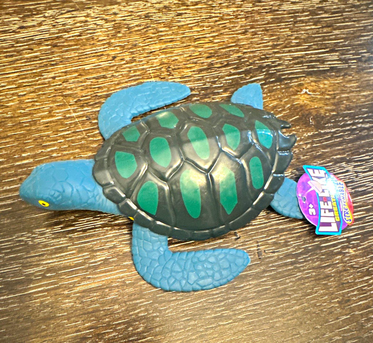 Life like creatures  stretchable Turtle