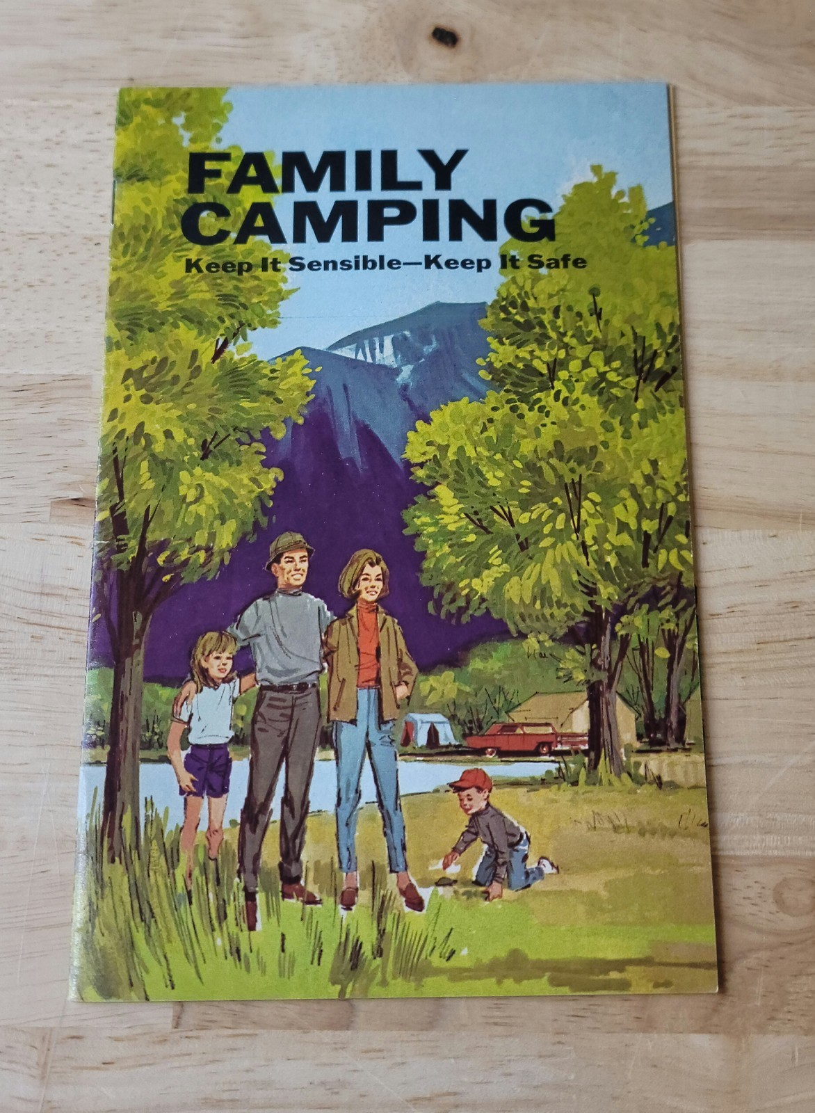 Vtg FAMILY CAMPING BOOKLET Travel Souvenir Tourism National Safety Council Vtg FAMILY CAMPING BOOKLET Travel Souvenir Tourism National Safety Council