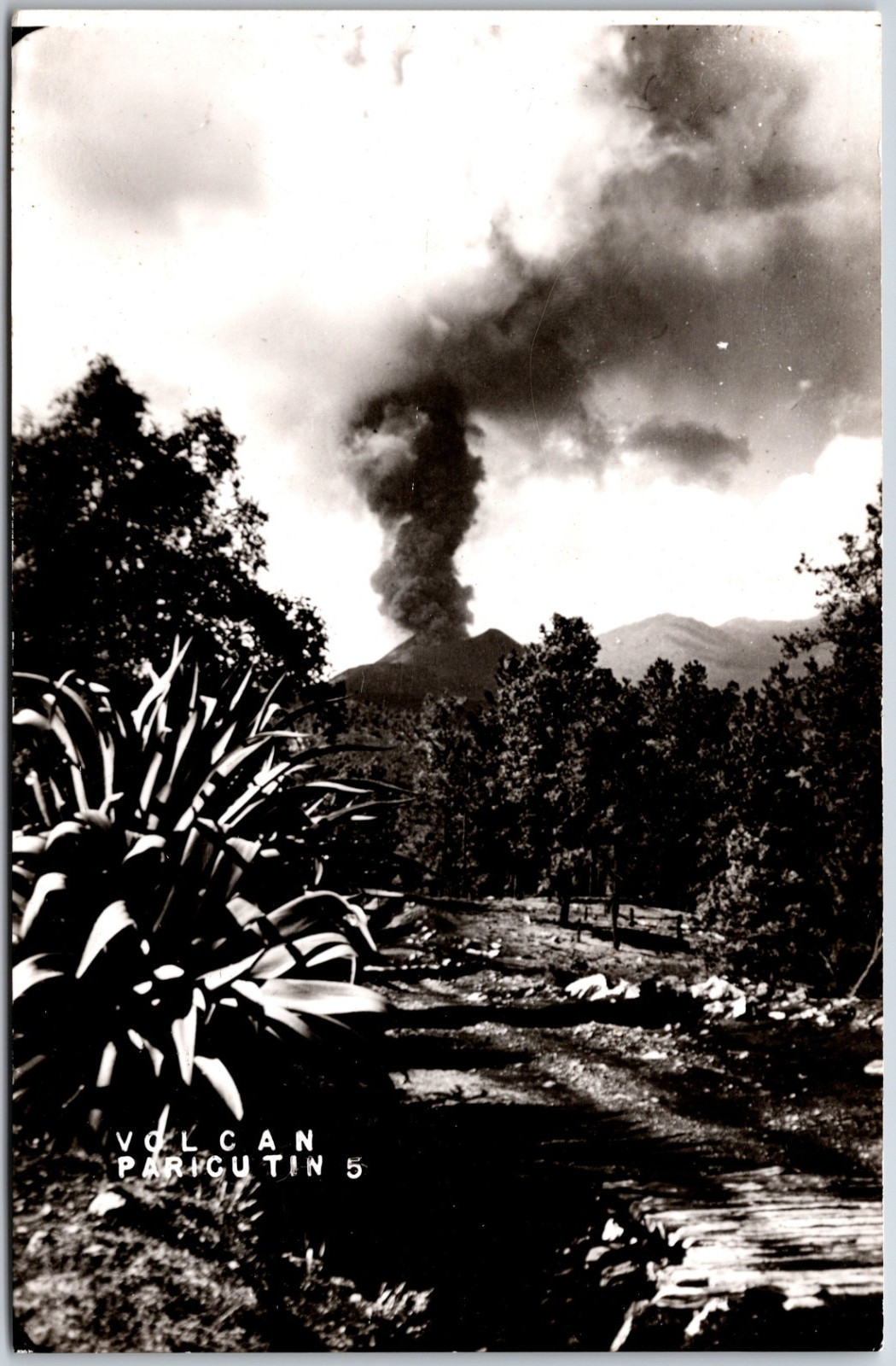 Paricutin Volcano Michoacan Mexico Photo Ash Smoke Billowing Out RPPC Postcard Paricutin Volcano Michoacan Mexico Photo Ash Smoke Billowing Out RPPC Postcard
