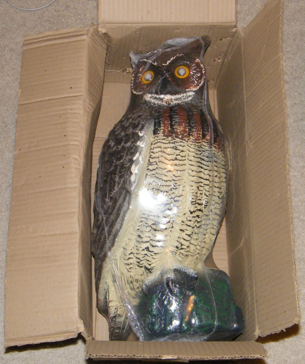 New NOS Rare Vintage GREAT HORNED OWL Oversize 20