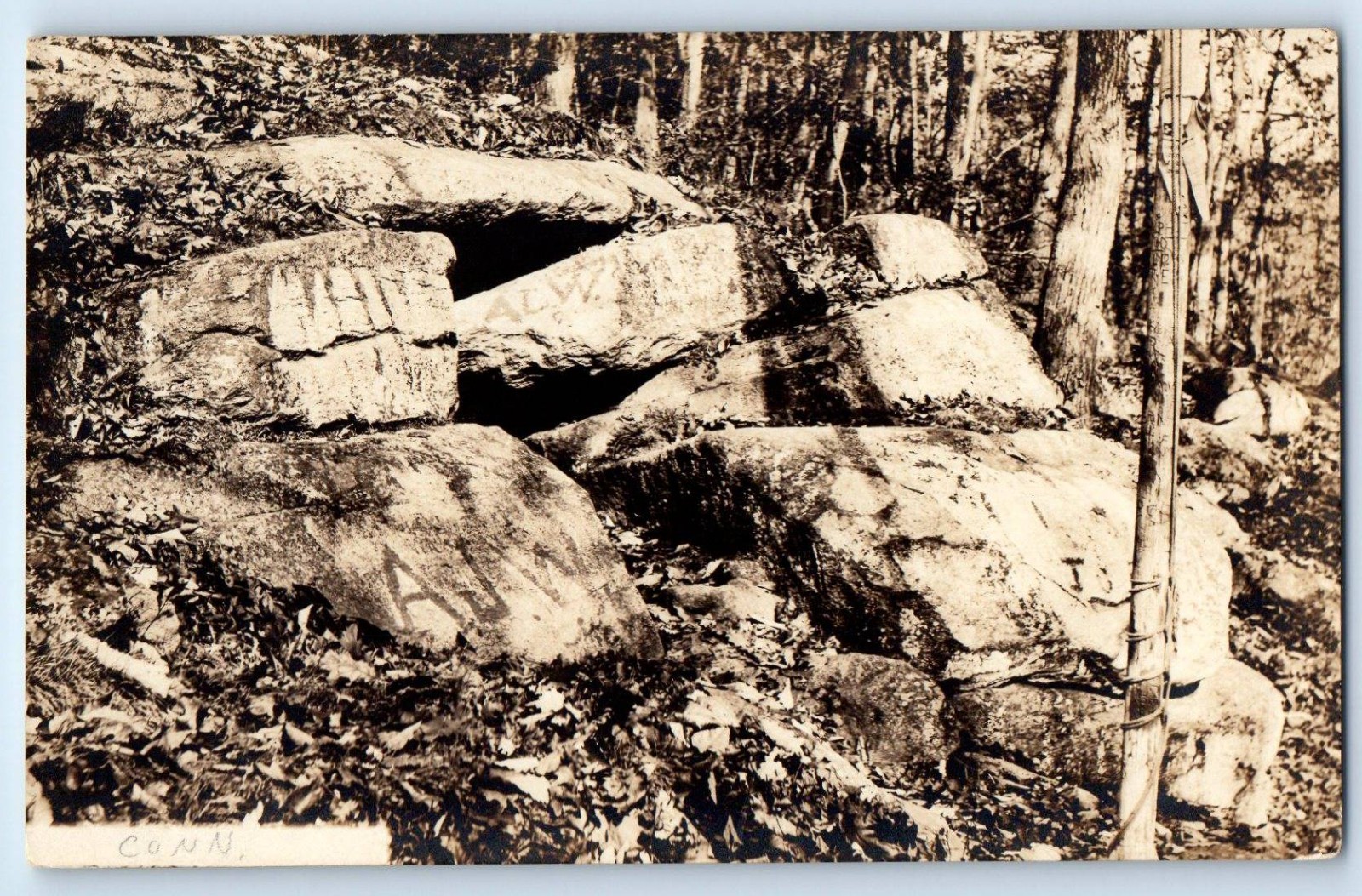 1923 Big Rocks And Trees Scene Brooklyn Connecticut CT RPPC Photo Postcard